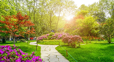 公園景區噪聲監測案例